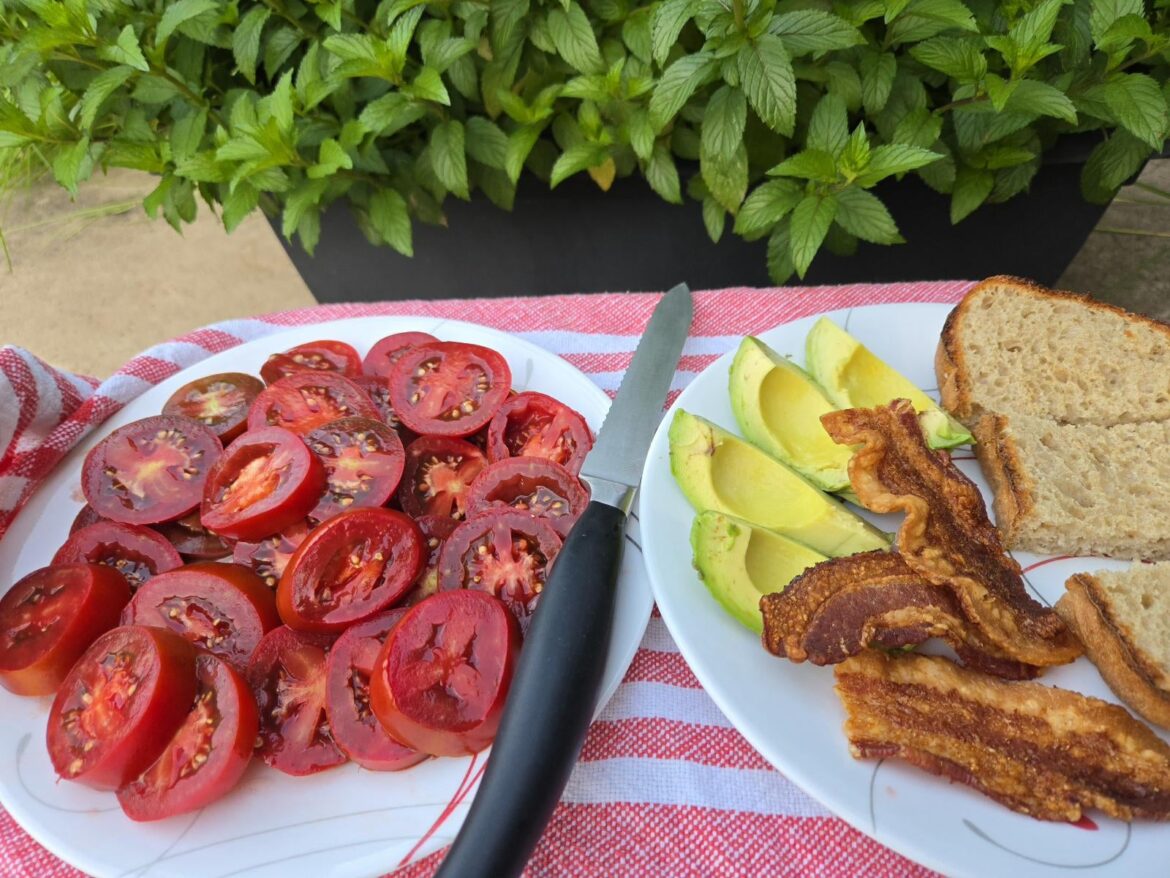 2025 Dark tomatoes – Season review 2025 Dark tomatoes – Season review