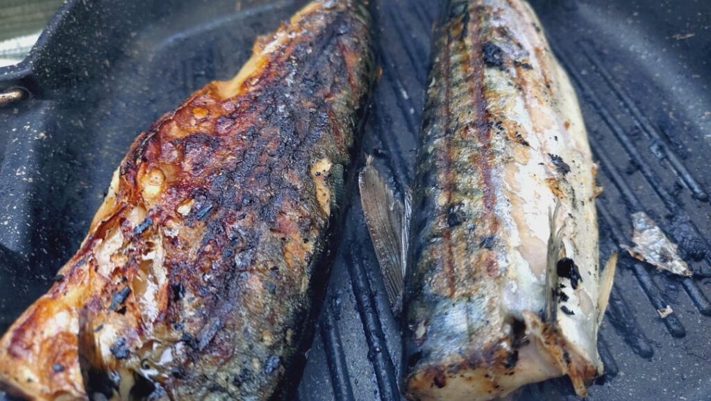 First time posting here