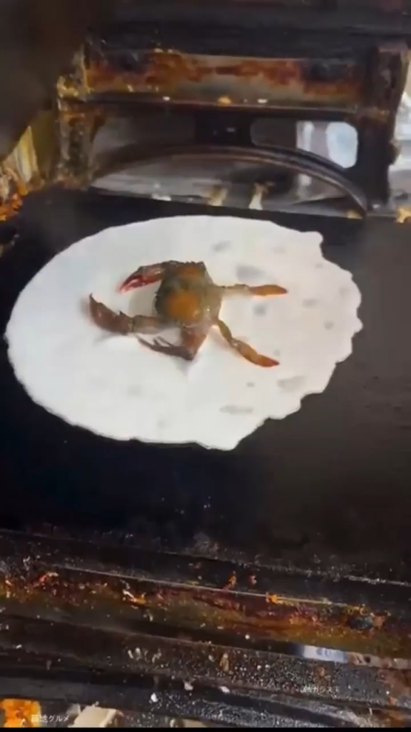 Japanese Street Food