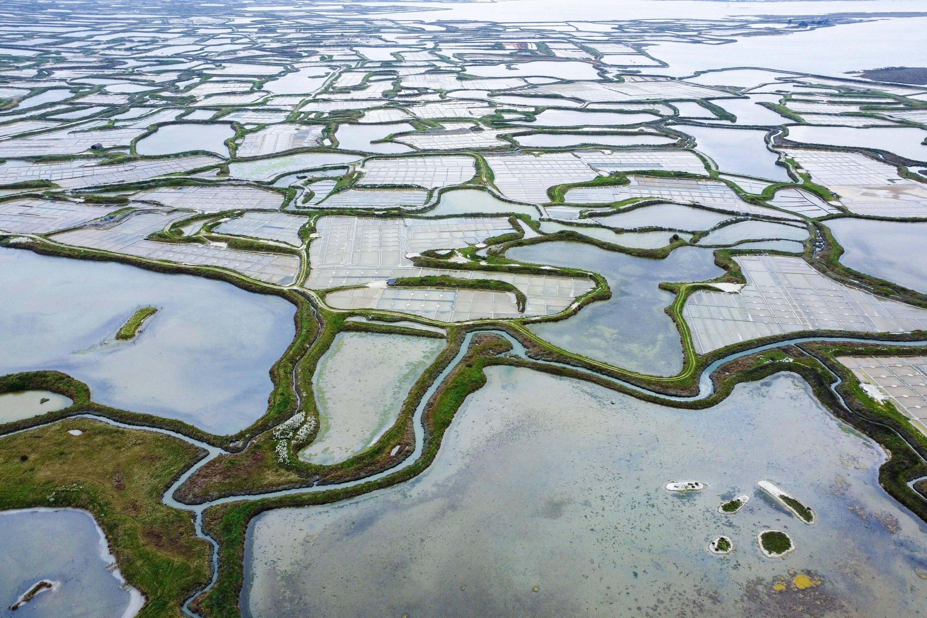 Aerial view showing the labyrinthine layout of Guérande’s salt pans.