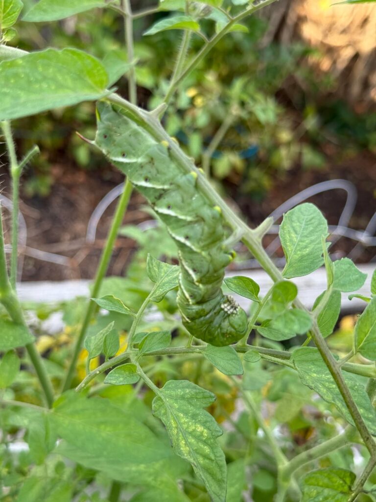 Scared the crap out of me.