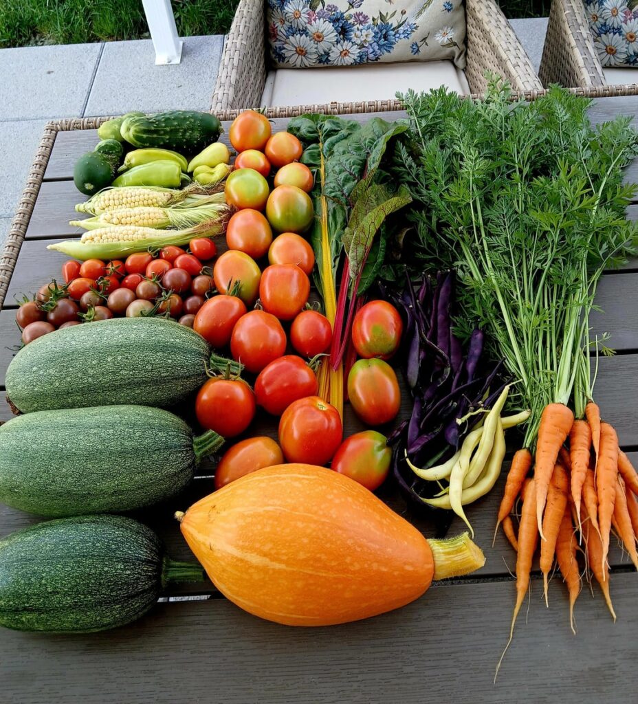 Garden harvest and pics