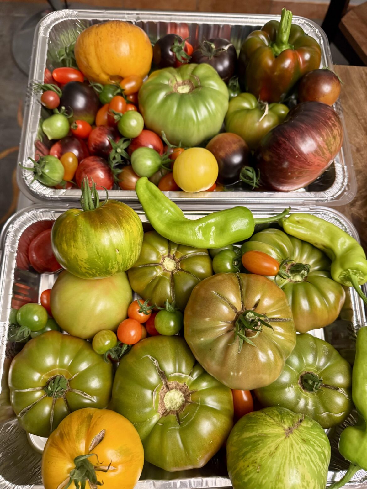 Went on vacation a few days and came home to many beauties!