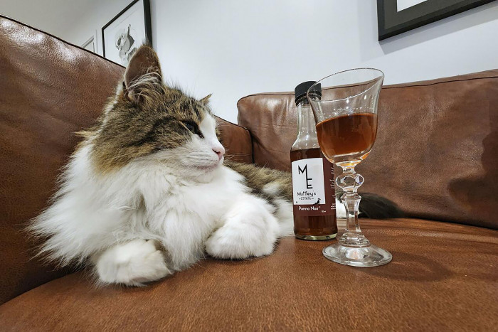 Bangkok Post – Pet-friendly wines for cats, dogs take off in New Zealand Bangkok Post - Pet-friendly wines for cats, dogs take off in New Zealand