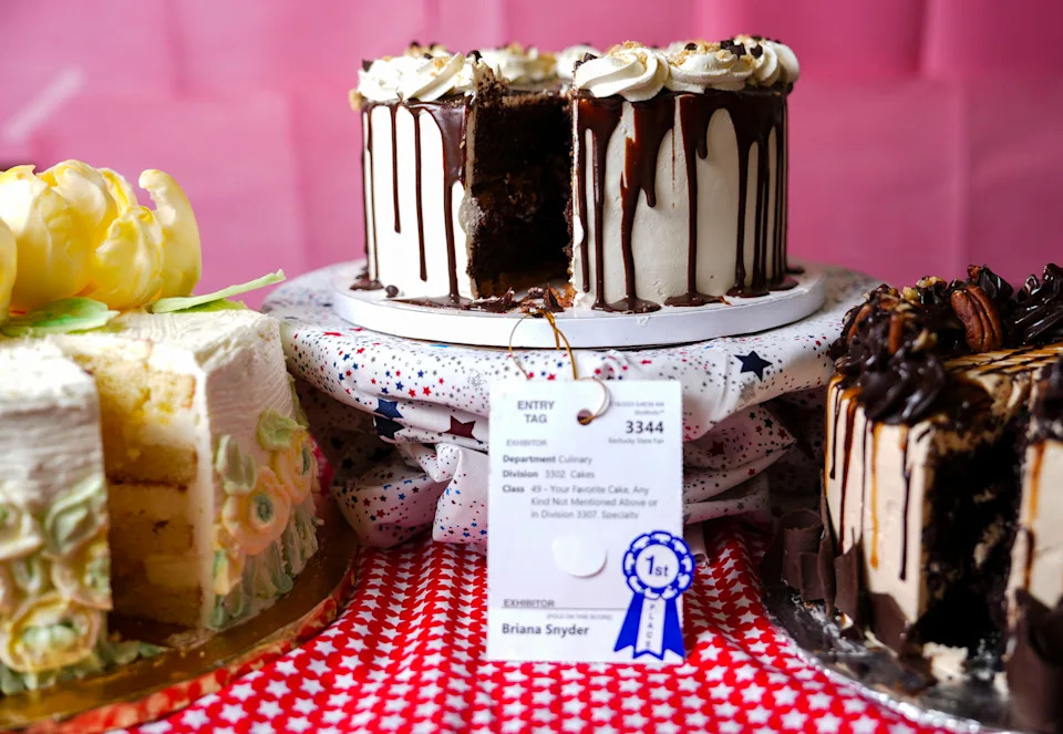 Briana Snyder's "I like s'mores a latte" cake, center, took first place and the blue ribbon at the 2025 Kentucky State Fair. At left, Rita Wooldridge took second place with her Limoncello cake with lemon curd filling and buttercream frosting. At right, the turtle cake from fourteen-year-old Kendra Jackson took third place in the "Your Favorite Cake" division at the 2025 Kentucky State Fair.