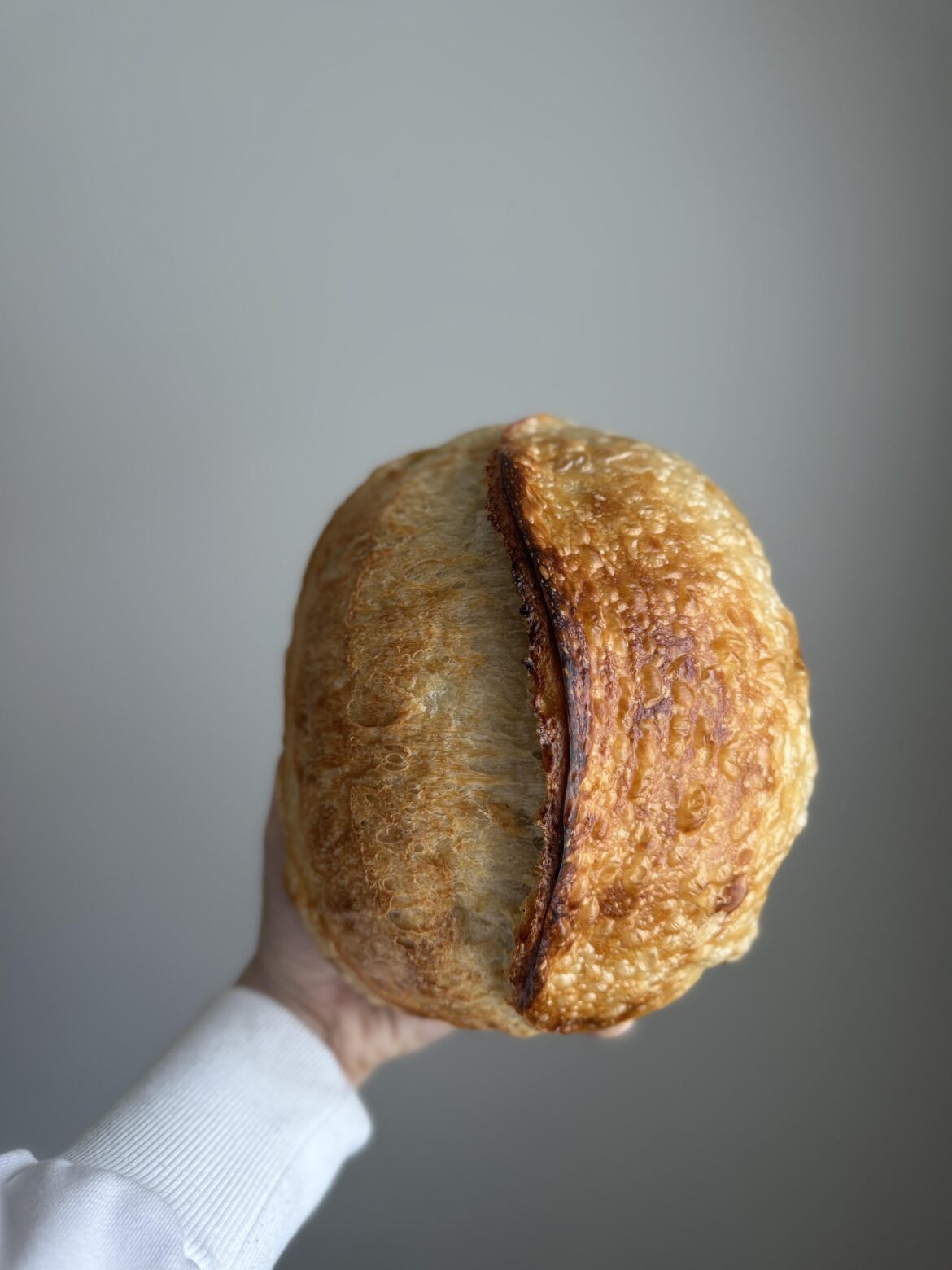 This may be a hot take… but buying a dehydrated (yet established) starter is the best thing you can do for yourself and your bread.