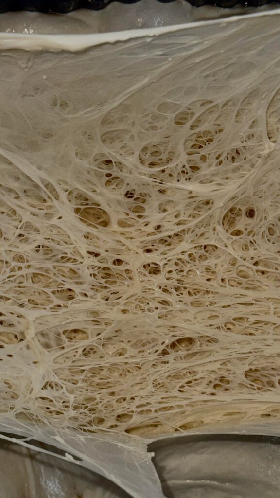 Spiderman exists ! He lives in my gluten network