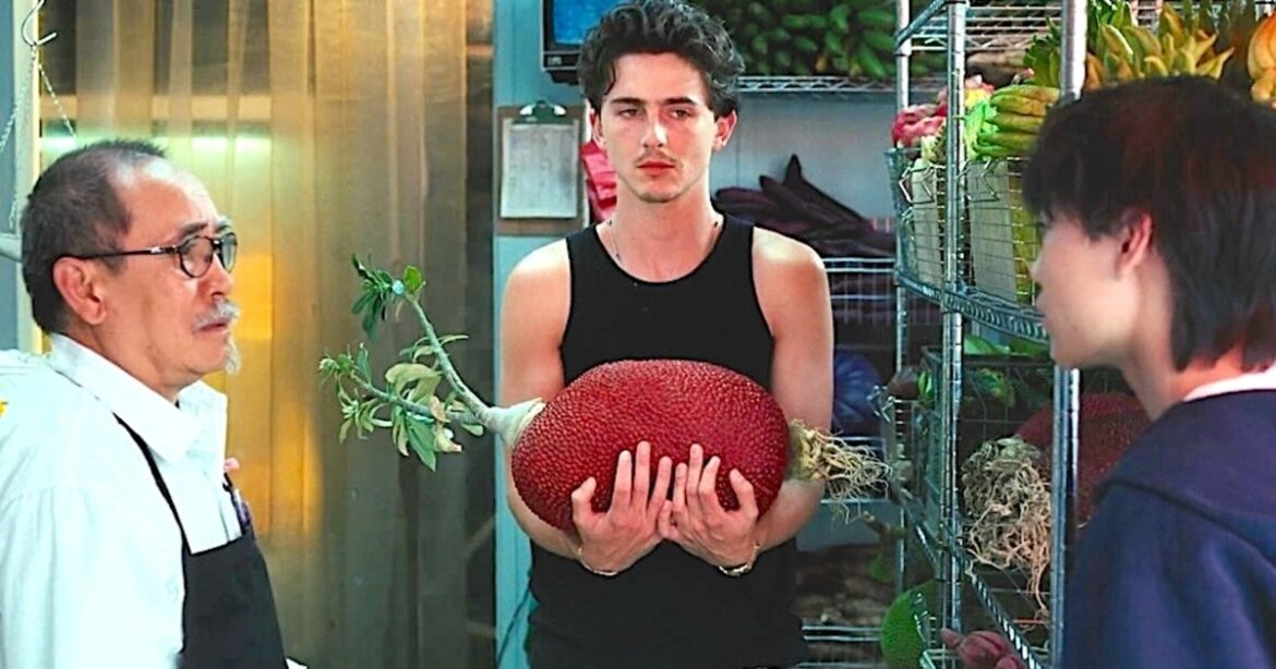 What’s That Giant Mystery Fruit in Timothée Chalamet’s Cash App Ad? A Vegan Meat Powerhouse What’s That Giant Mystery Fruit in Timothée Chalamet’s Cash App Ad? A Vegan Meat Powerhouse