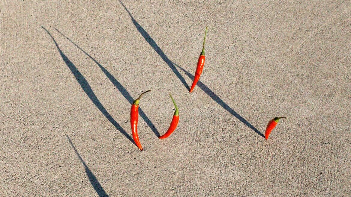 11 Delicious Vitamin A Foods to Boost Your Immune System