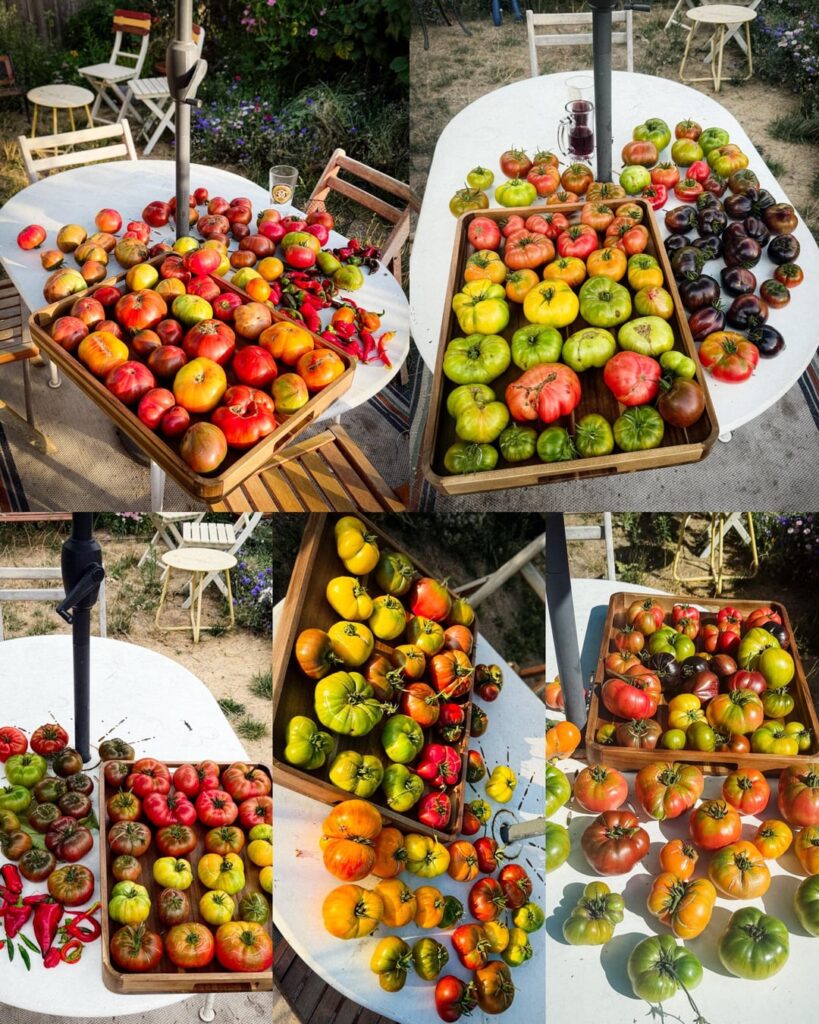 It’s been a nice season.