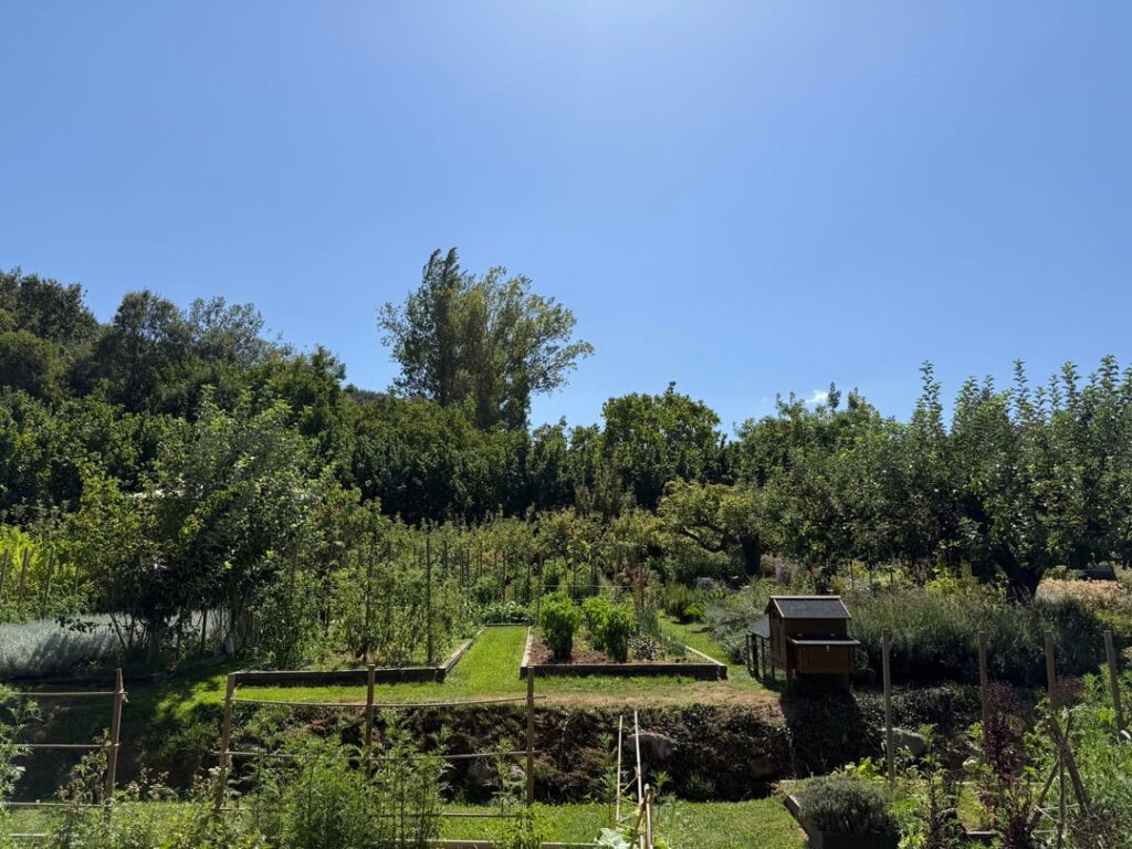 Venta Moncalvillo ⭐️⭐️, Daroca de Rioja