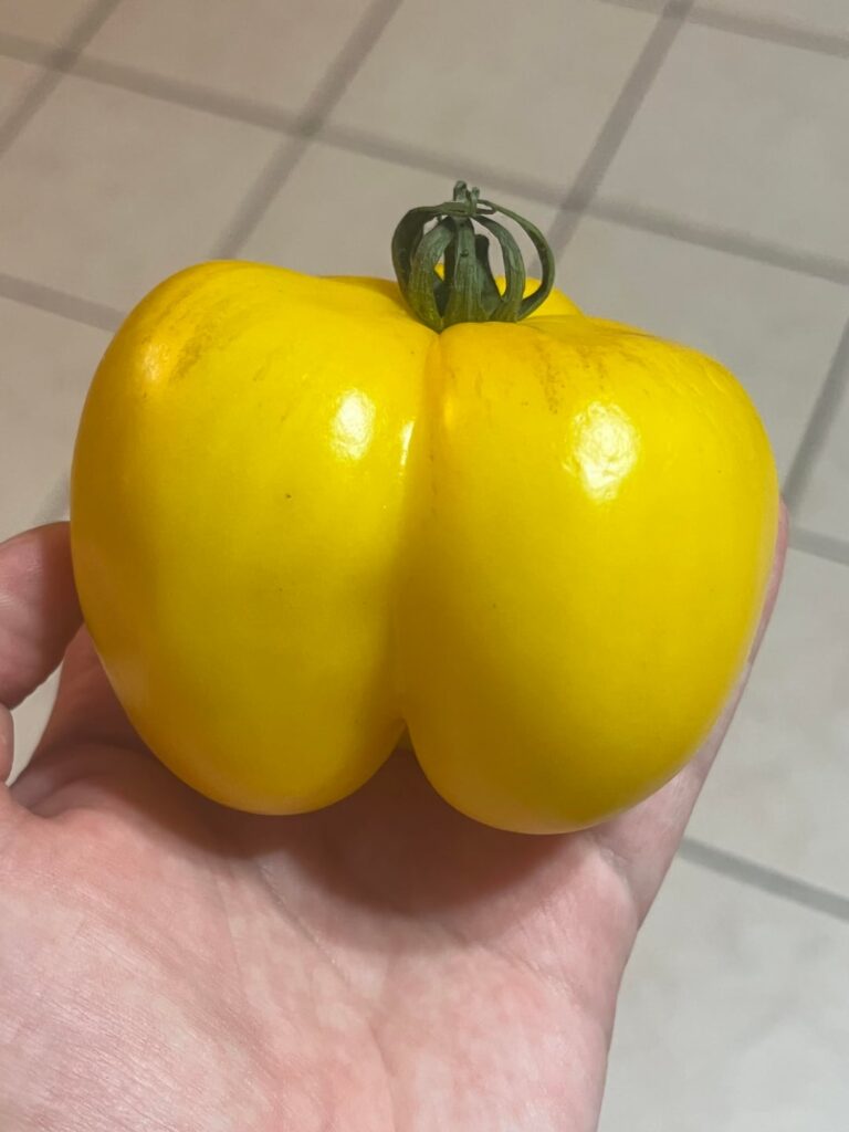 What is this abomination?