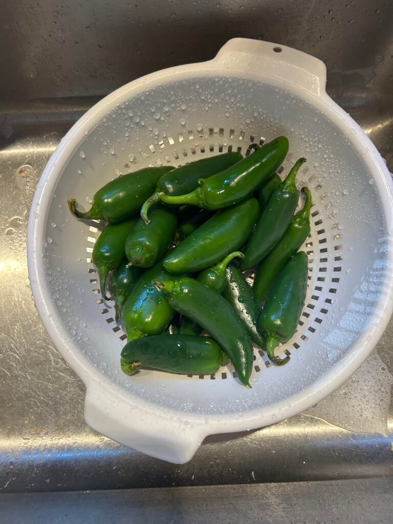 Was going to roast up a big batch of Goliath Jalapeños from the garden.
