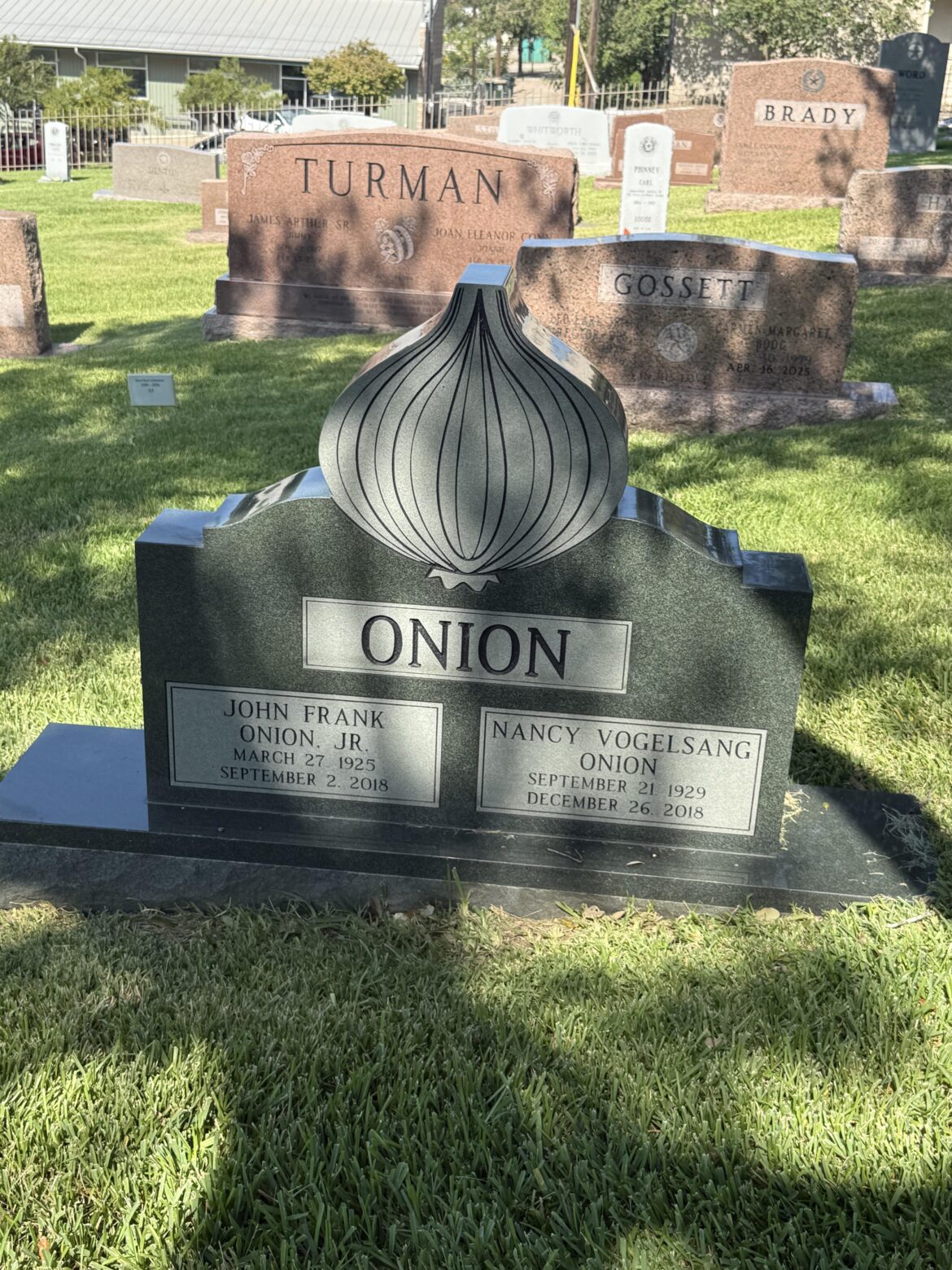 The Onions