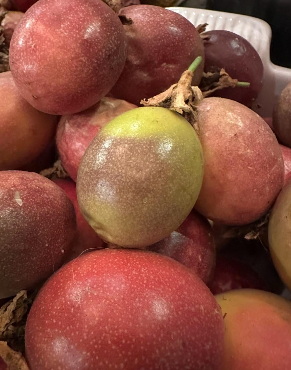 Got tons of passion fruit from our tree this year. Any ice cream or sorbet ideas?