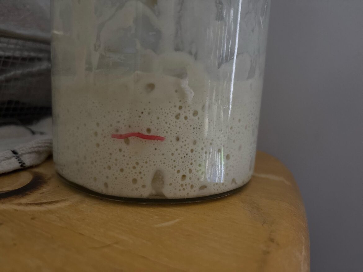 For the first time, my starter has doubled in size ❤️ For the first time, my starter has doubled in size ❤️