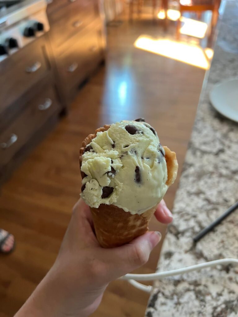 Malted vanilla mint chocolate chip