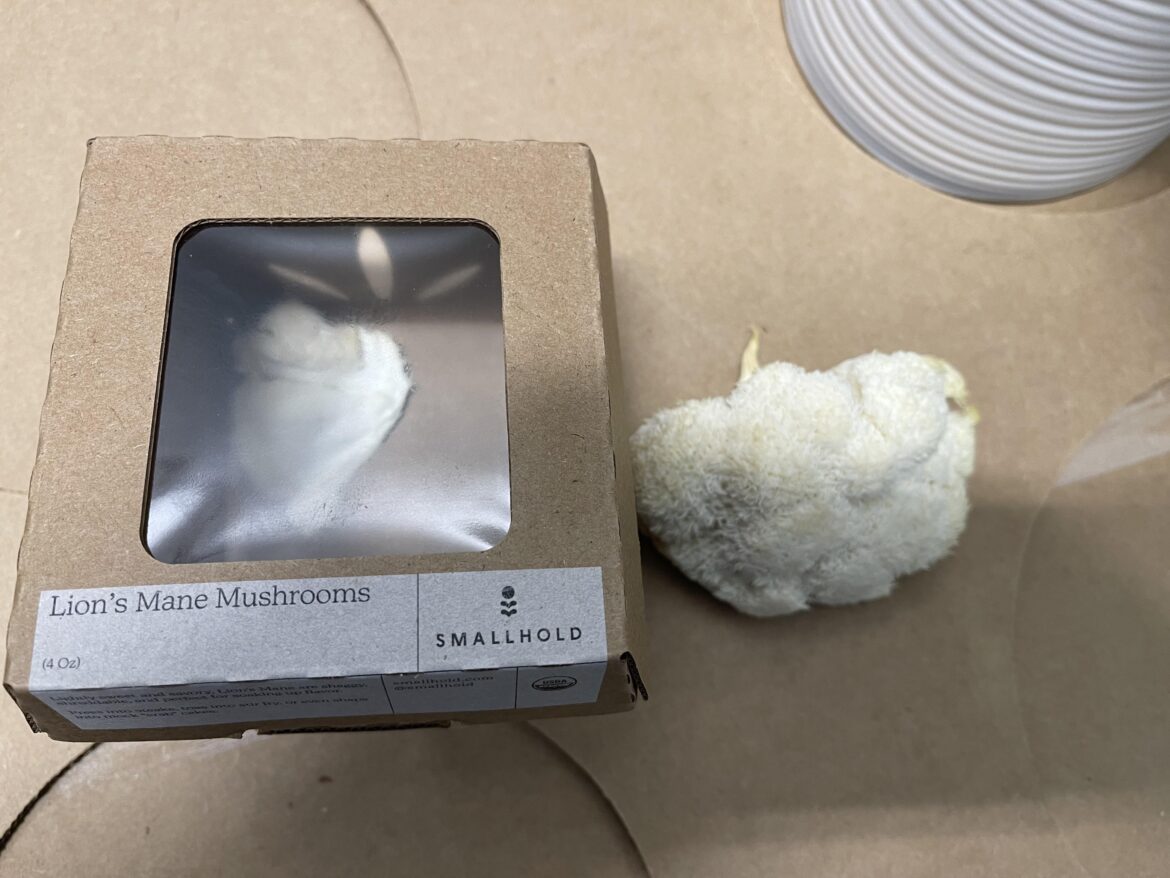 Another random case from the vendor… was supposed to be regular white mushrooms.