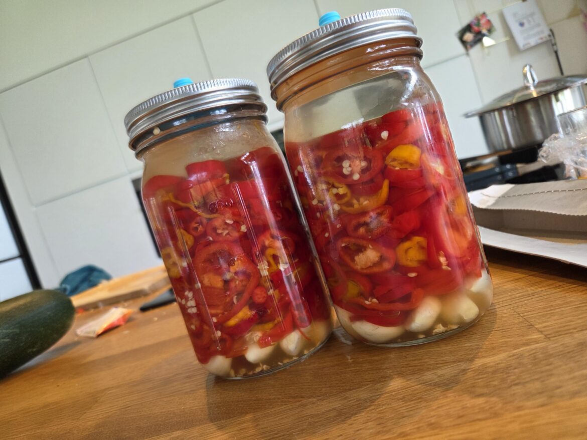 First time fermenting, wish me luck!