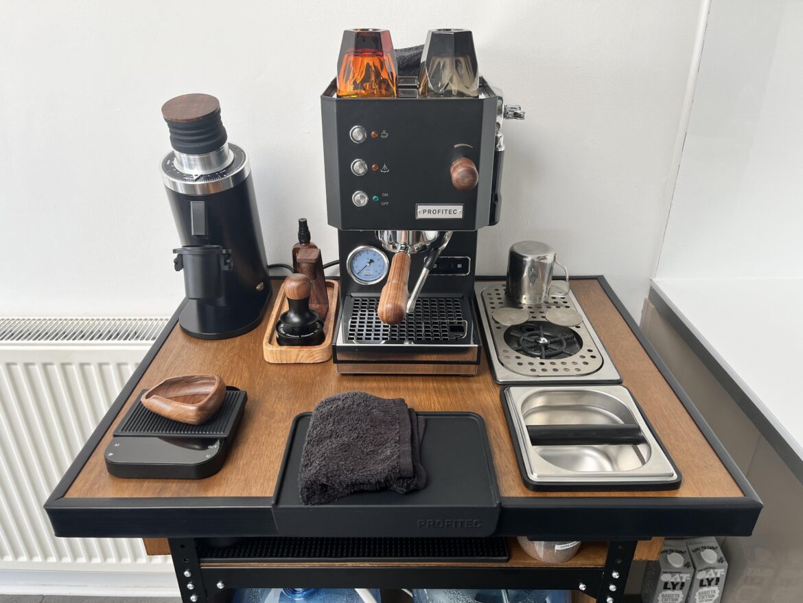 6 months into the Profitec Go