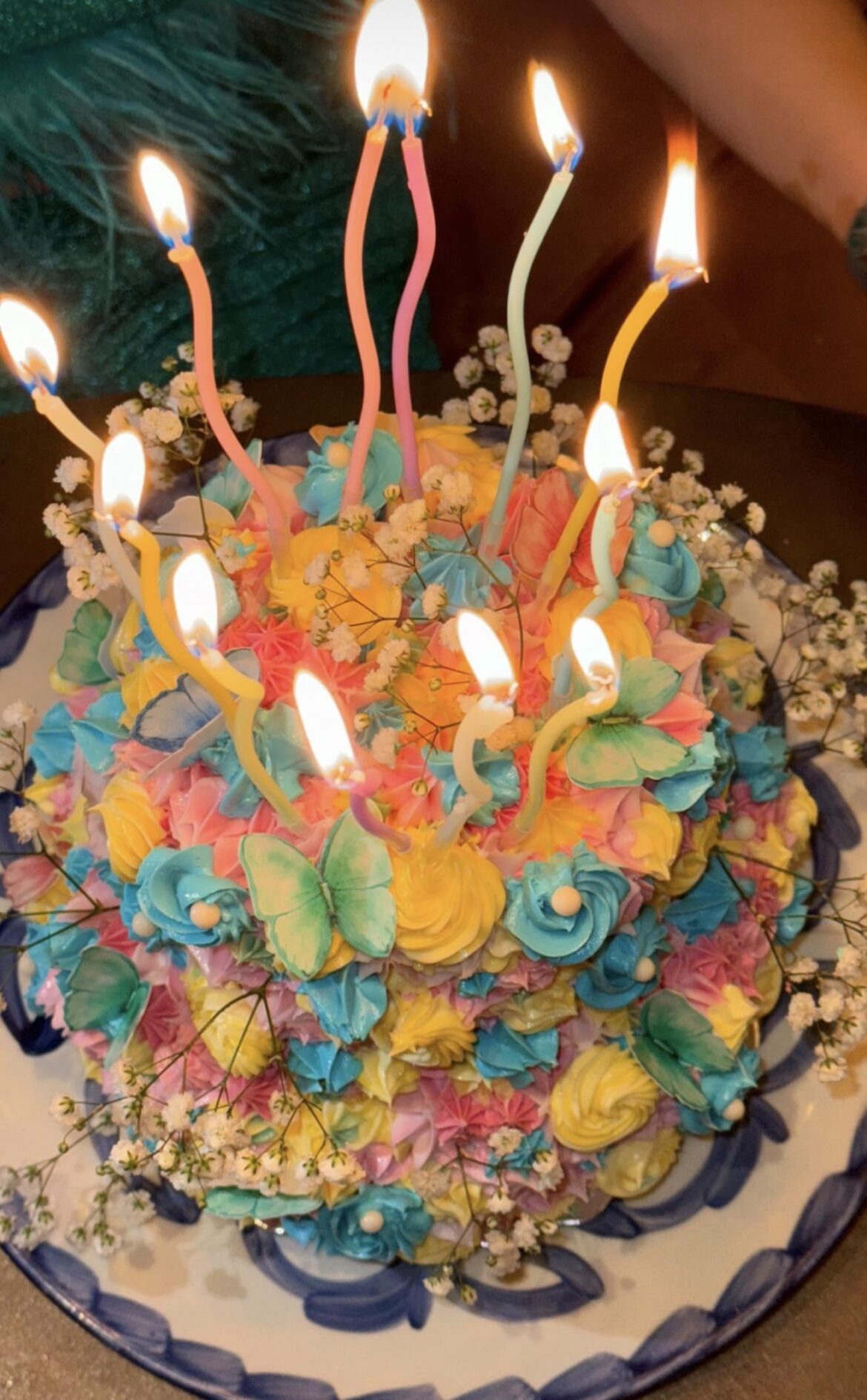 Beautiful butterfly cake