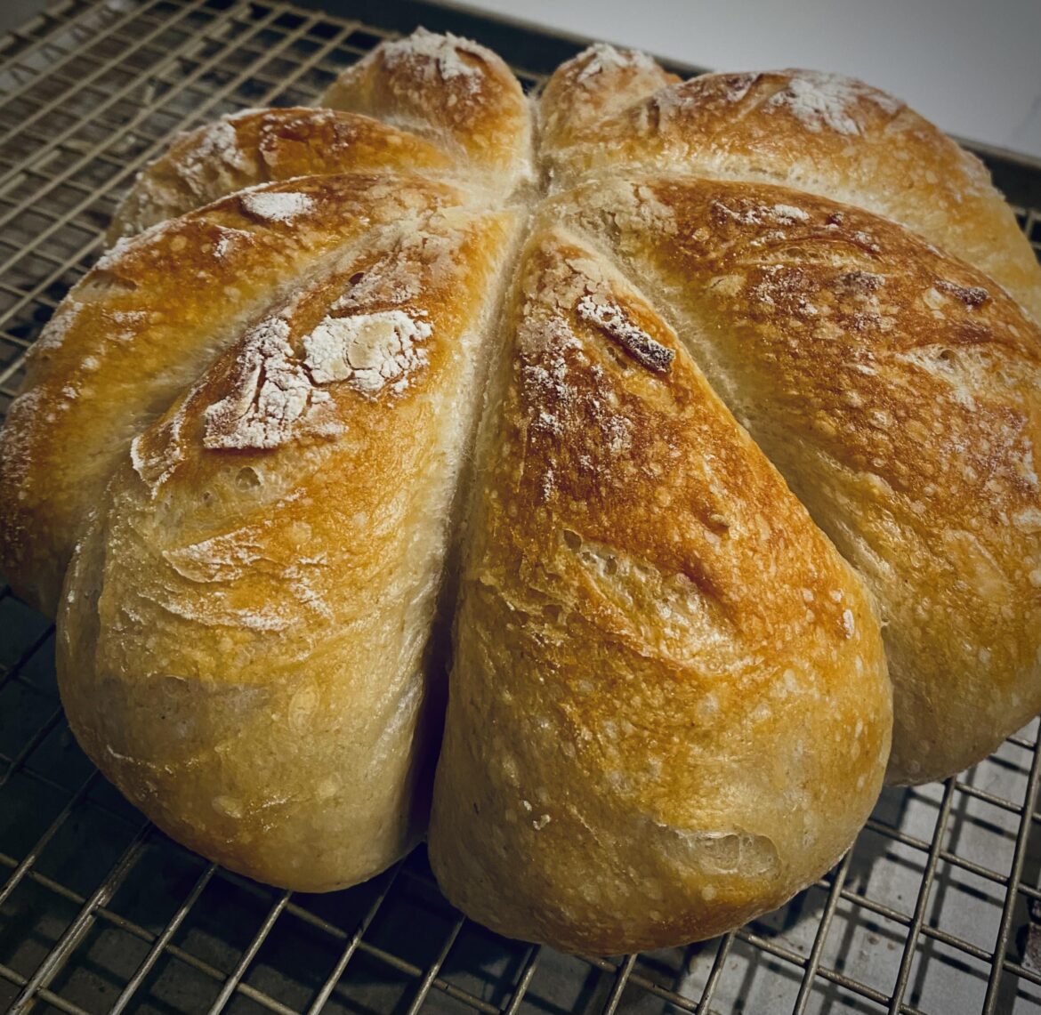 Partner demanded my usual Sunday loaf look like a pumpkin. Fall is here, lord help us all.