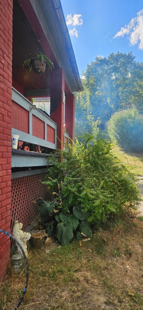 Neighbors.mad over some ribs wtf