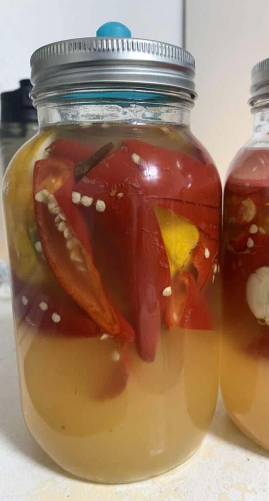 First time fermenting peppers for hot sauce. Are they fermenting ok? They smell nice as of now.