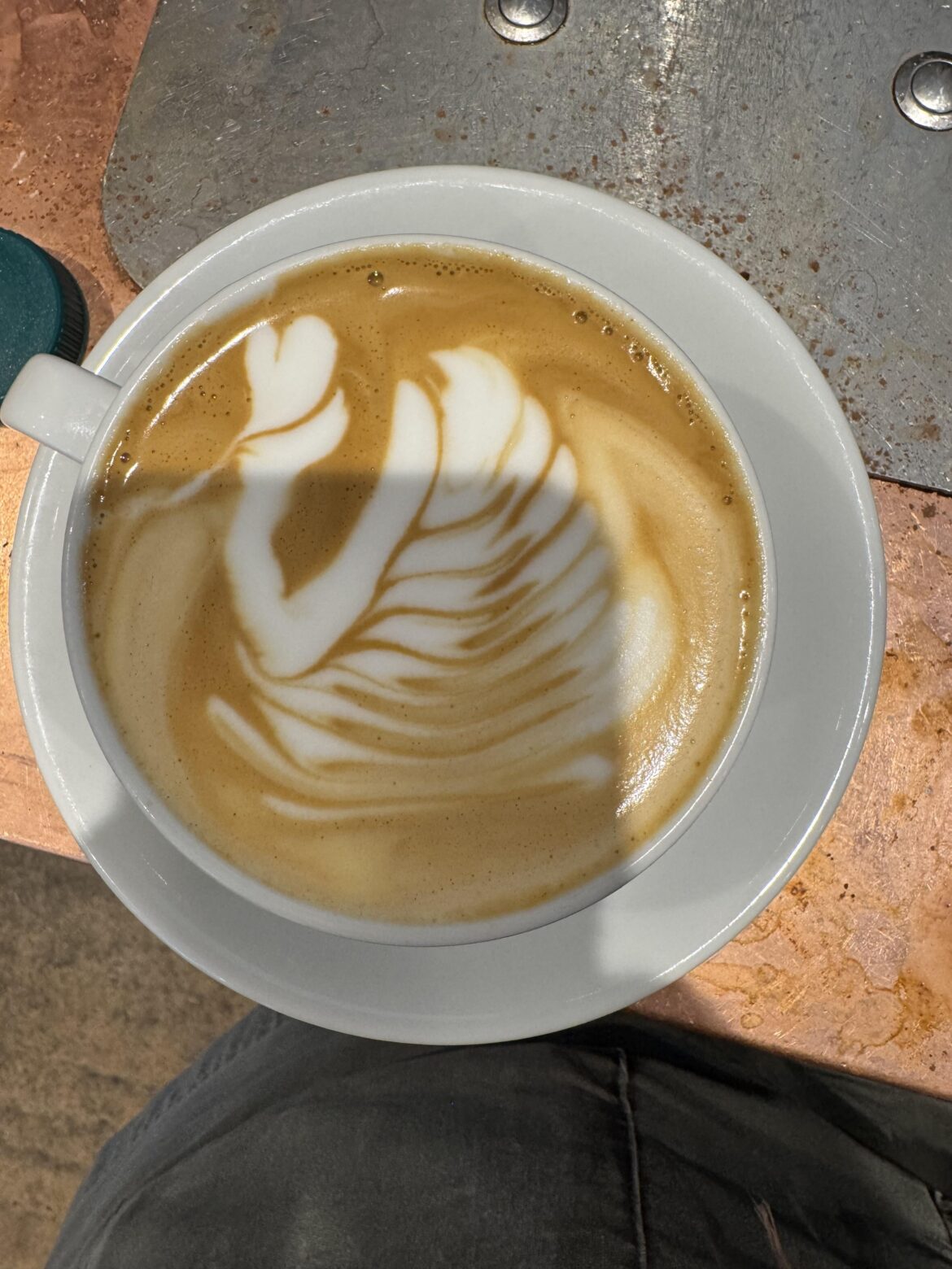 Swan attempt number 2….