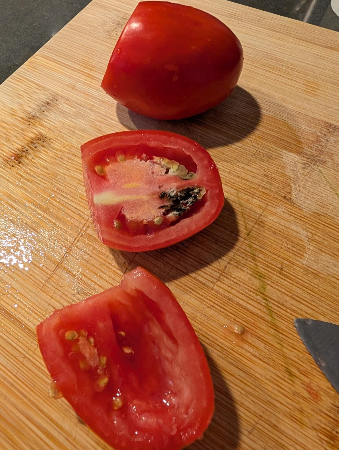 San Marzano type tomatoes seed mold…or something San Marzano type tomatoes seed mold...or something