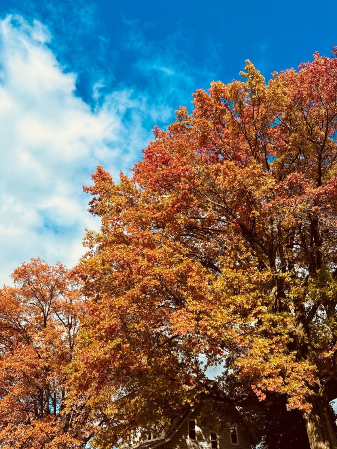 Currently Crushing On. – How Sweet Eats currently crushing on