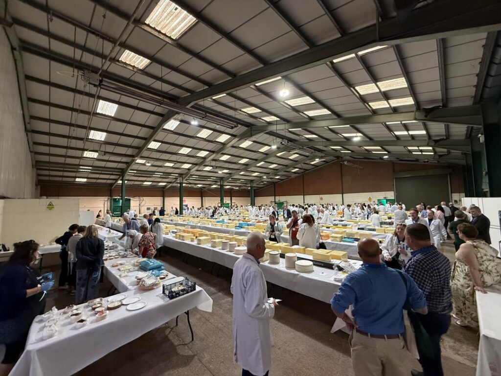 Judging today at the International Cheese and Dairy Awards