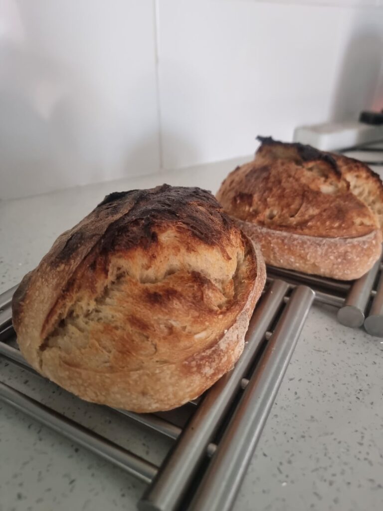 Never back down, never what?!