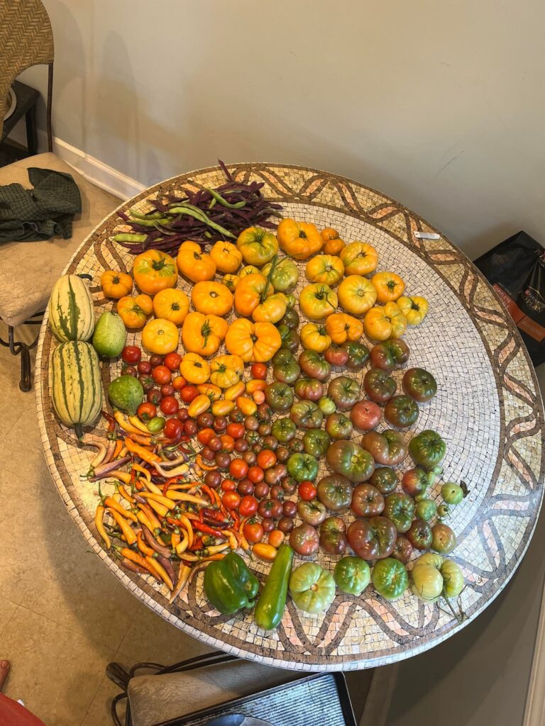 Made a garden veggie hot sauce