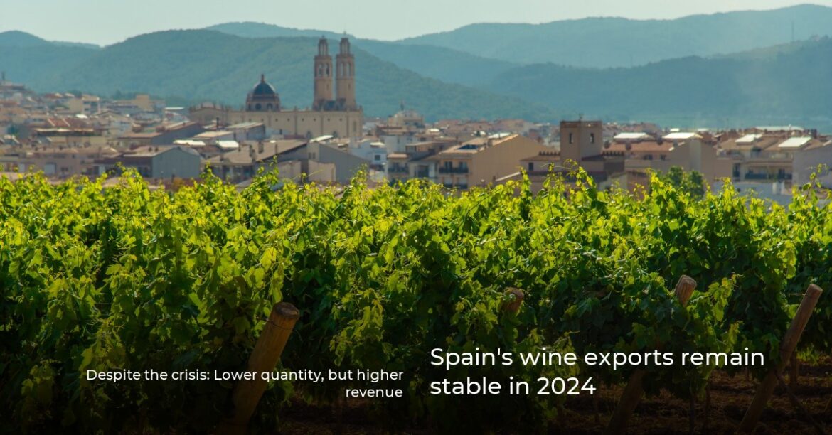 Spain's wine exports remain stable in 2024