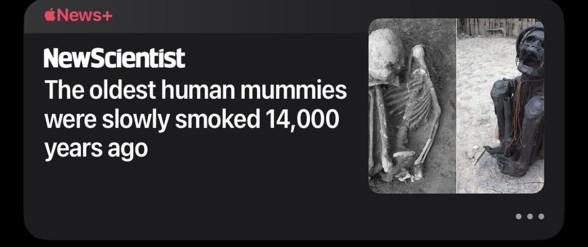 Which one of you guys did this?