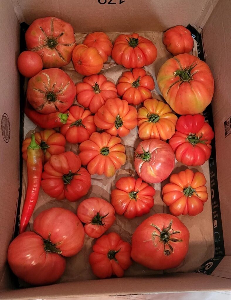 Almost too pretty to eat. Almost.