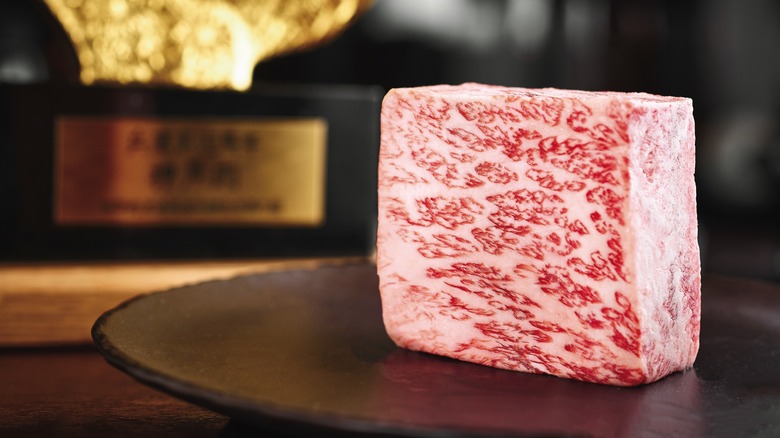 Block of Kobe beef on table