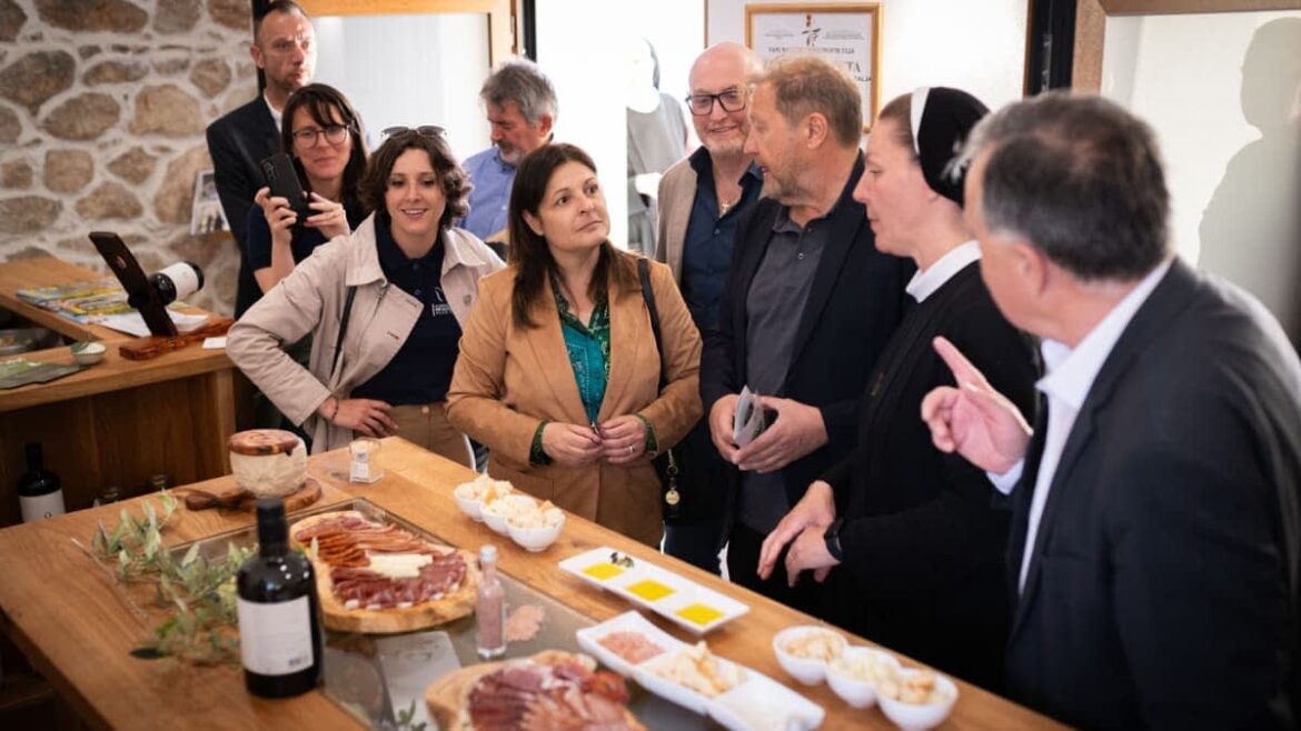 In Potoci, a Tasting Room Signals a New Era for Bosnian Olive Oil Olive Oil Times