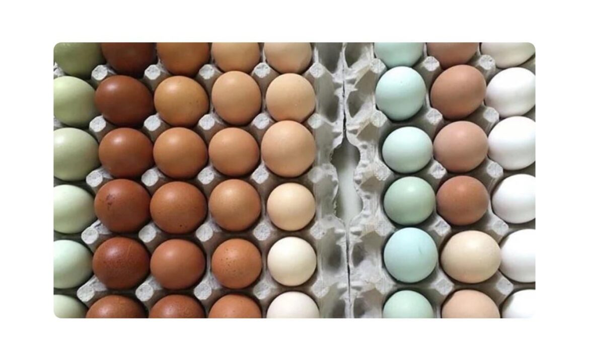 Farm Fresh Eggs In Store?