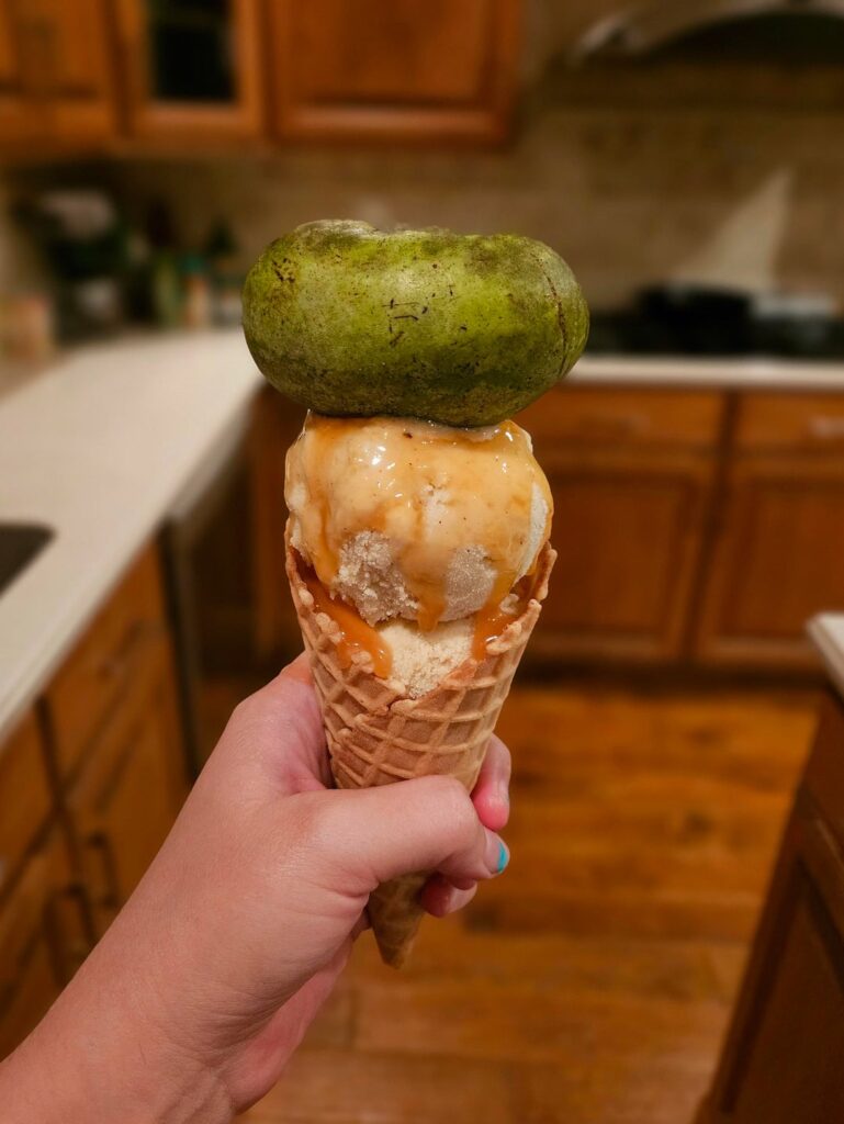 Just made some fresh salted caramel pawpaw ice cream