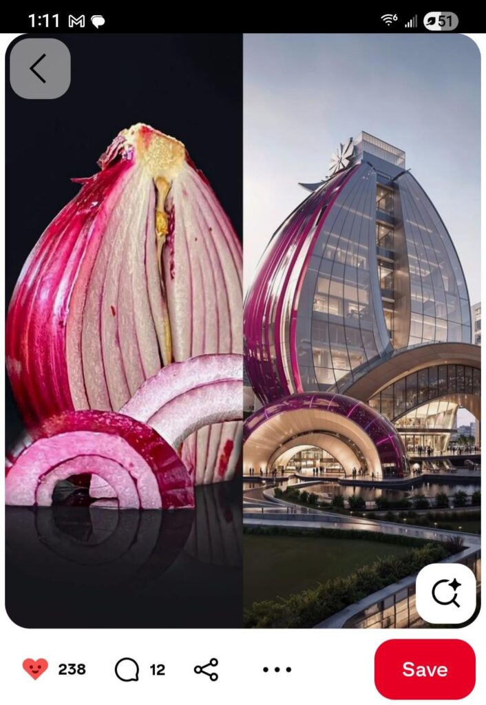 Onion Building!!!