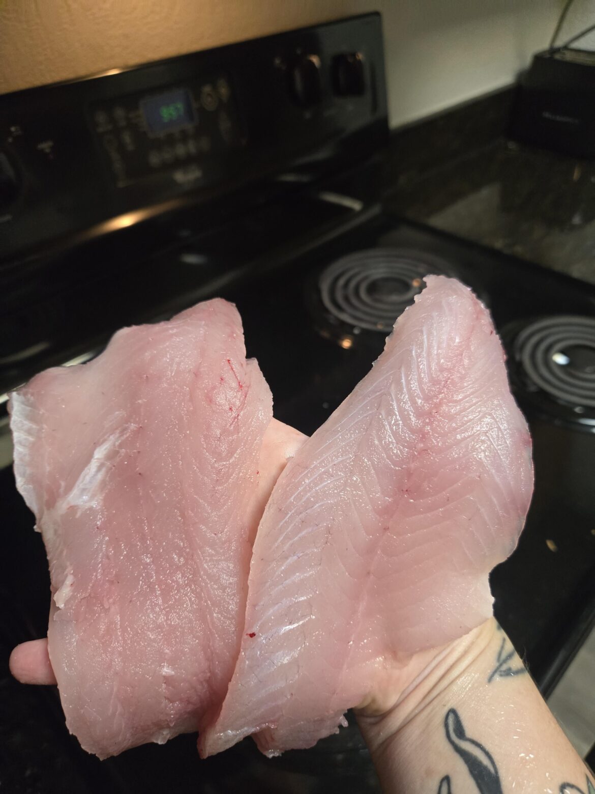 Caught a 5 pound largemouth bass