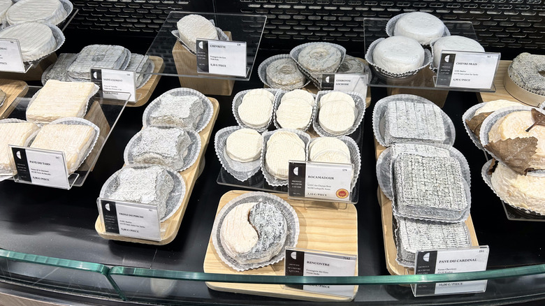 French cheese shop display case of many goat cheeses