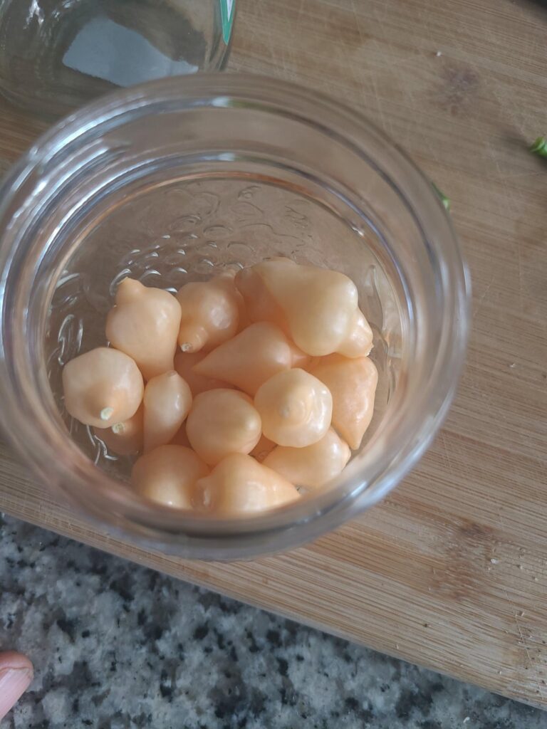 Why so hot????? Why so hot?????