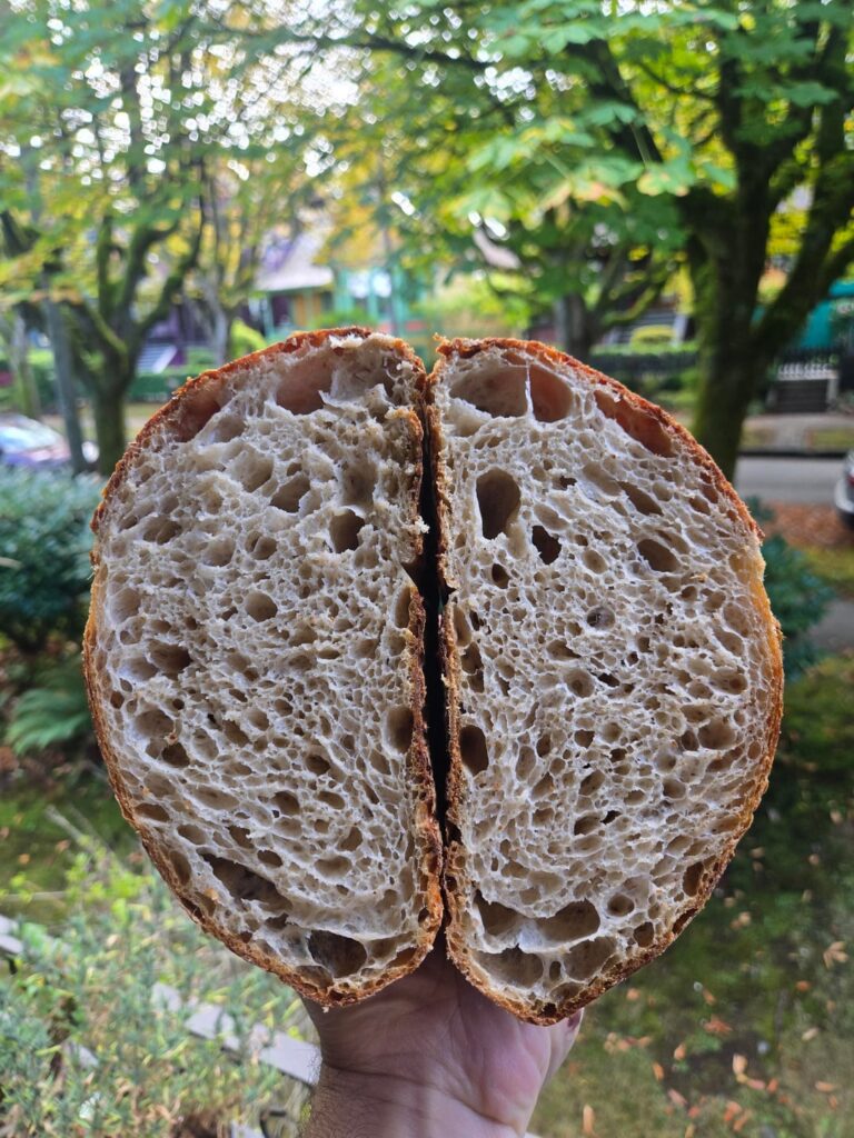 Loving the lacy even crumb on this loaf - 100% sifted whole wheat