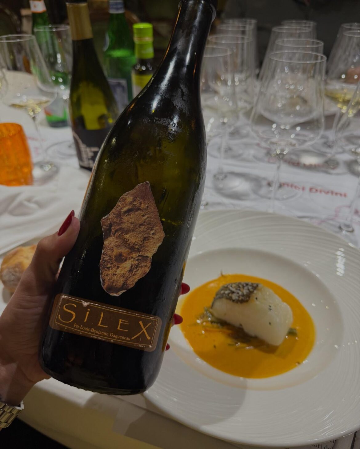 ✨ Silex 2022 – Domaine Didier Dagueneau (Loire)