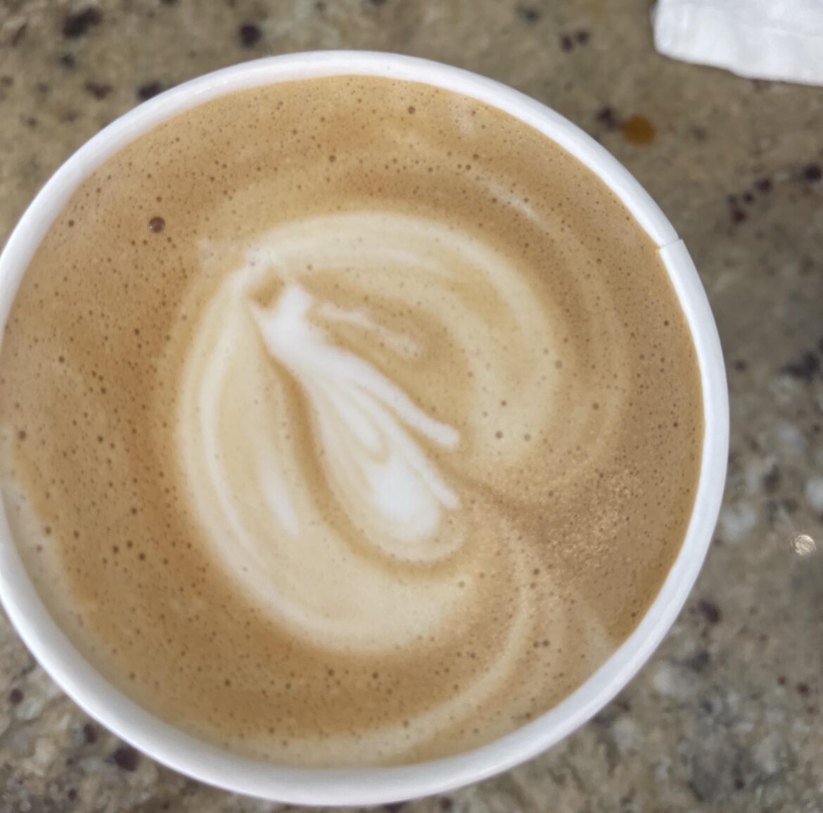 a few months ago I made latte art that looks like a cat throwing up…