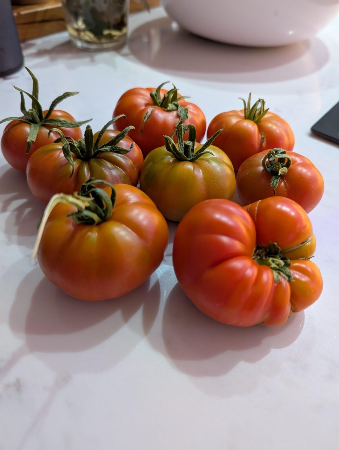 First time I've ever grown anything