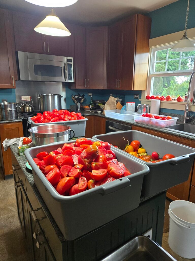 First canning day of 2025 season. First canning day of 2025 season.